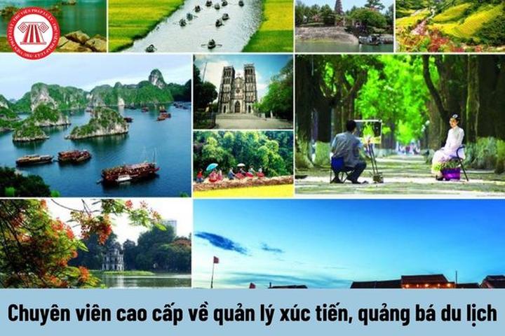 Xu hướng “Dữ liệu không nói dối”: Khi: Hotspot Matrix tiết lộ bí quyết video viral