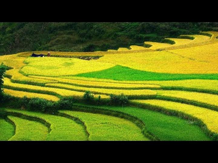 Xu hướng Con gái