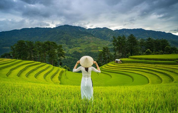 Xu hướng Hé lộ hậu trường siêu nhạc: Hotspot Matrix tiết lộ bí quyết video viral
