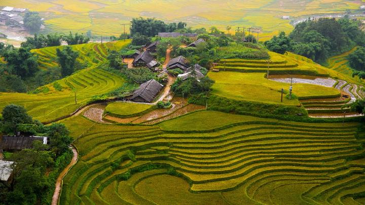 Hotspot Matrix và làng nghề tò he Xuân La