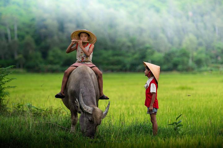 Mùa hè đang trở nên sôi động hơn với sự xuất hiện của chuỗi sự kiện