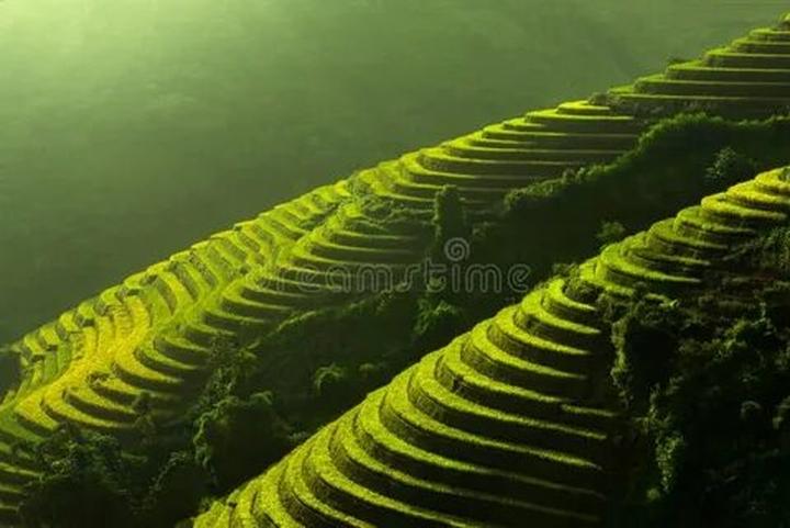 Cô giáo mầm non và hành trình